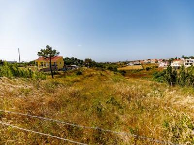 Acheter Terrain 5350 m2 Mafra
