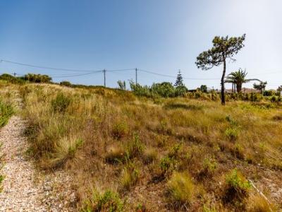 Acheter Terrain Mafra rgion LISBOA