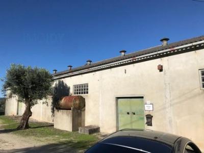 Acheter Local industriel 590 m2 Porto-de-mos