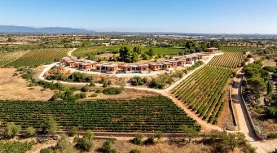 Annonce Vente Maison Lagoa