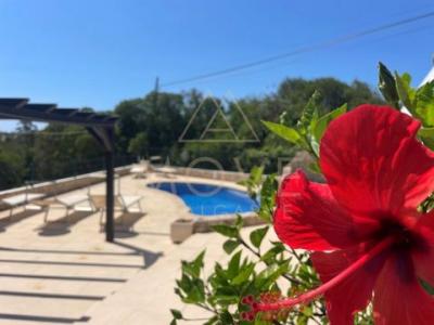 Acheter Maison 111 m2 Albufeira