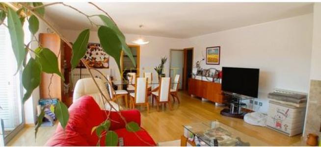 Annonce Vente Appartement Coimbra