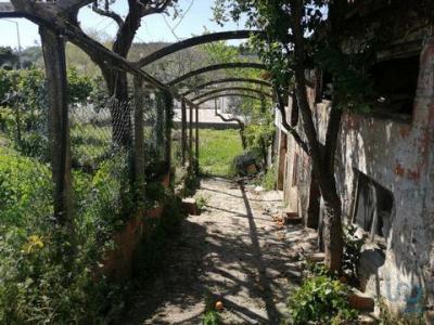 Acheter Maison Ansiao rgion LEIRIA