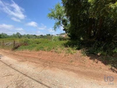Acheter Terrain 11320 m2 Cadaval