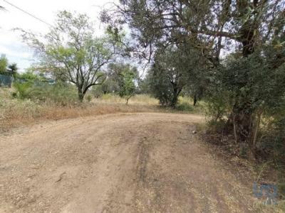 Annonce Vente Terrain Loule