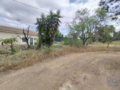 Acheter Terrain 300 m2 Loule