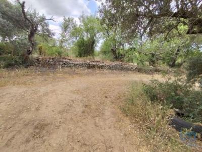 Acheter Terrain Loule rgion FARO