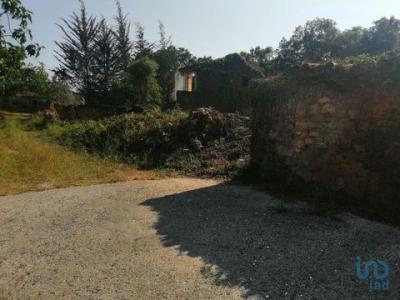 Acheter Maison 261 m2 Pedrogao-grande