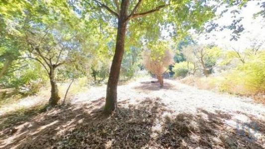 Acheter Maison 96 m2 Castanheira-de-pera