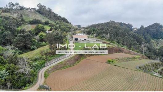 Acheter Terrain Santana rgion MADEIRA