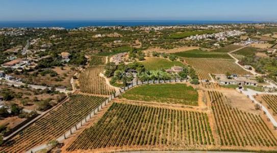 Acheter Maison Lagoa rgion LEIRIA