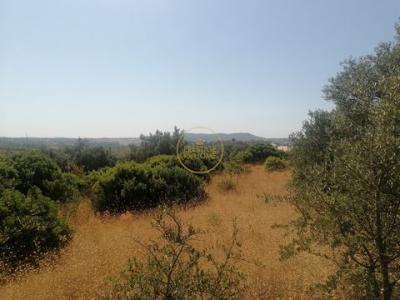 Annonce Vente Terrain Loule