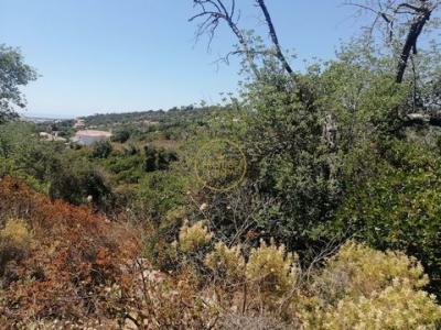 Acheter Terrain Loule rgion FARO