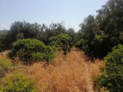 Acheter Terrain 3440 m2 Loule