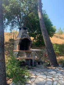 Acheter Terrain Tomar rgion SANTAREM