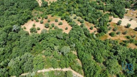 Vente Terrain Ferreira-do-zezere CHAOS 14 au Portugal