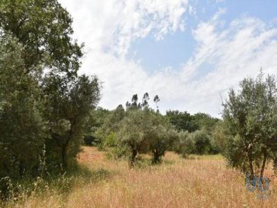 Annonce Vente Terrain Ferreira-do-zezere