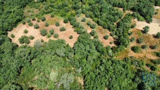 Acheter Terrain 3680 m2 Ferreira-do-zezere