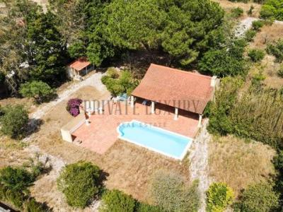 Acheter Maison 440 m2 Salvaterra-de-magos