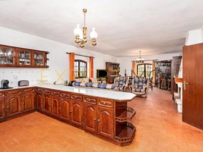 Annonce Vente Maison Palmela
