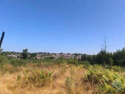 Annonce Vente Terrain Seia