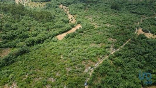 Acheter Terrain Ferreira-do-zezere rgion SANTAREM