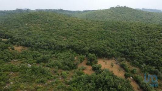 Acheter Terrain Ferreira-do-zezere rgion SANTAREM