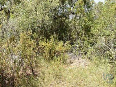 Acheter Terrain 880 m2 Ferreira-do-zezere