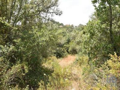 Acheter Terrain Ferreira-do-zezere rgion SANTAREM