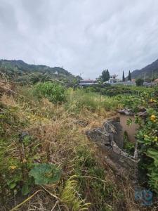 Acheter Maison Porto-da-cruz rgion MADEIRA