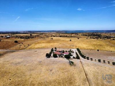 Acheter Maison 495 m2 Mourao
