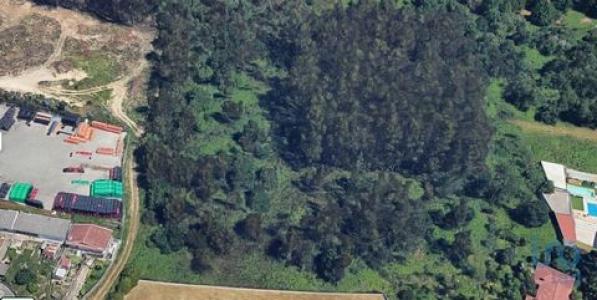 Acheter Terrain 4500 m2 Maia