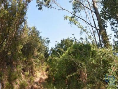 Annonce Vente Terrain Ferreira-do-zezere