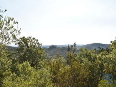 Acheter Terrain 8600 m2 Ferreira-do-zezere