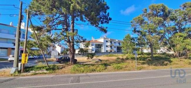 Annonce Vente Terrain Caldas-da-rainha