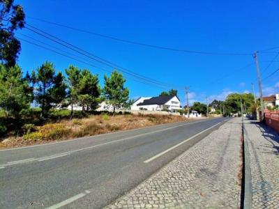 Acheter Terrain 320 m2 Caldas-da-rainha