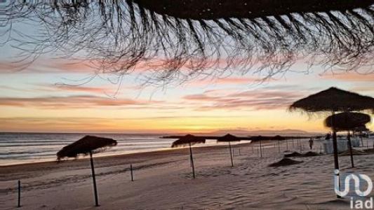 Annonce Vente 3 pices Appartement Caparica
