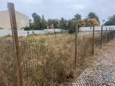Annonce Vente Terrain Sesimbra