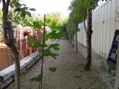 Acheter Terrain 695 m2 Barcelos