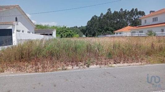 Vente Terrain Costa-nova-do-prado ALHAVO-(SAO-SALVADOR) 01