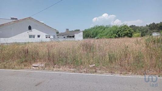 Acheter Terrain 1700 m2 Costa-nova-do-prado