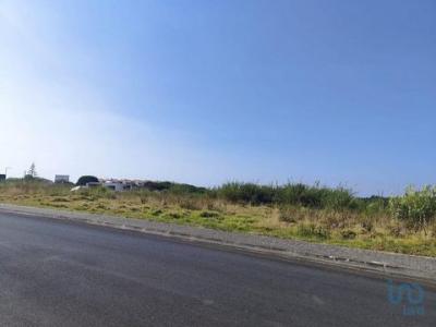 Annonce Vente Terrain Cadaval