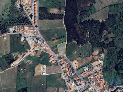 Acheter Terrain 4310 m2 Cadaval