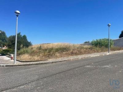 Acheter Terrain 210 m2 Campelos