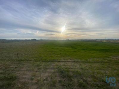 Vente Terrain Almeirim ALMEIRIM 14