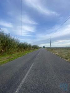 Annonce Vente Terrain Almeirim