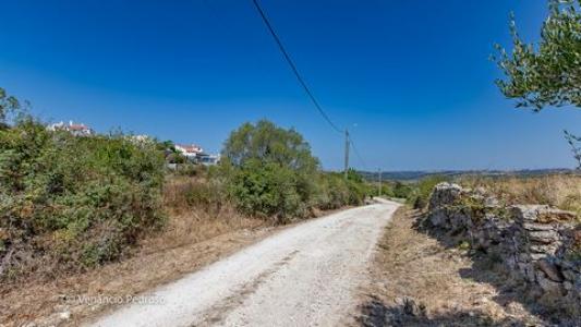 Acheter Terrain 3057 m2 Sintra