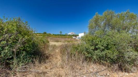 Acheter Terrain Sintra rgion LISBOA