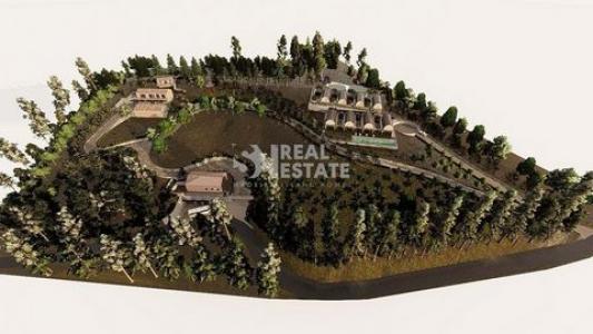 Acheter Terrain 22380 m2 Porto-moniz