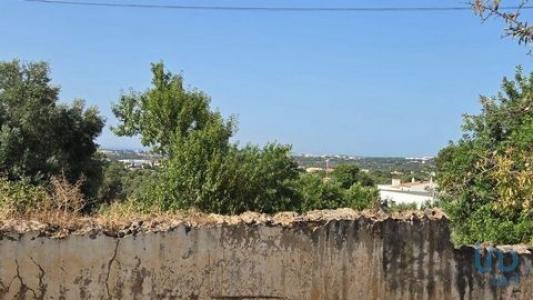Annonce Vente Terrain Loule